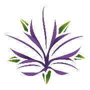 Wellsprings Health Logo